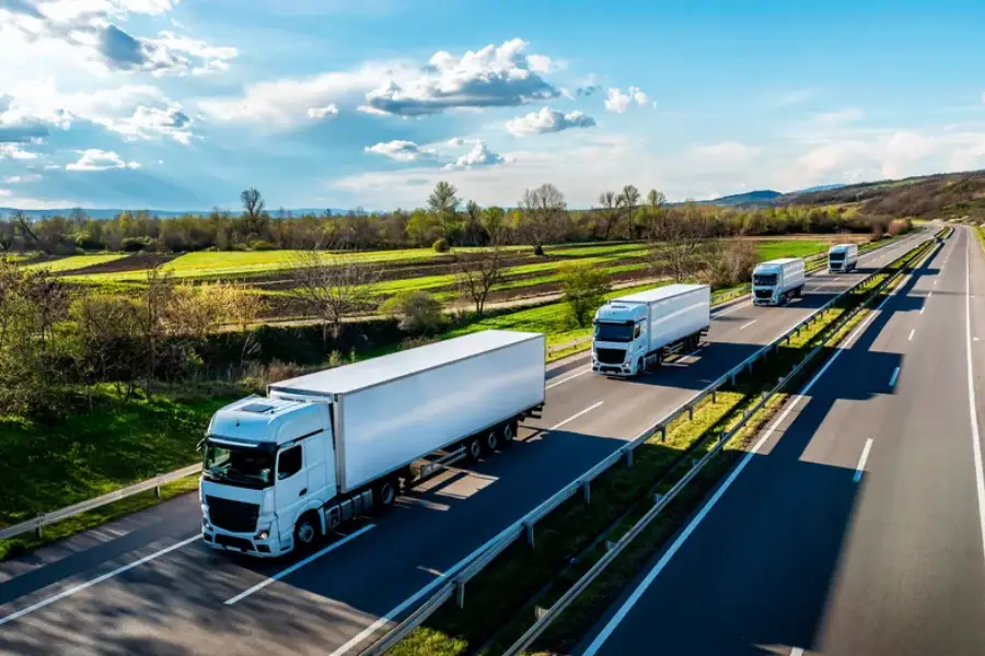 The Benefits Of Hiring Professionals For Long Distance Moves in Alpharetta, GA The Benefits Of Hiring Professionals For Long Distance Moves in Alpharetta, GA